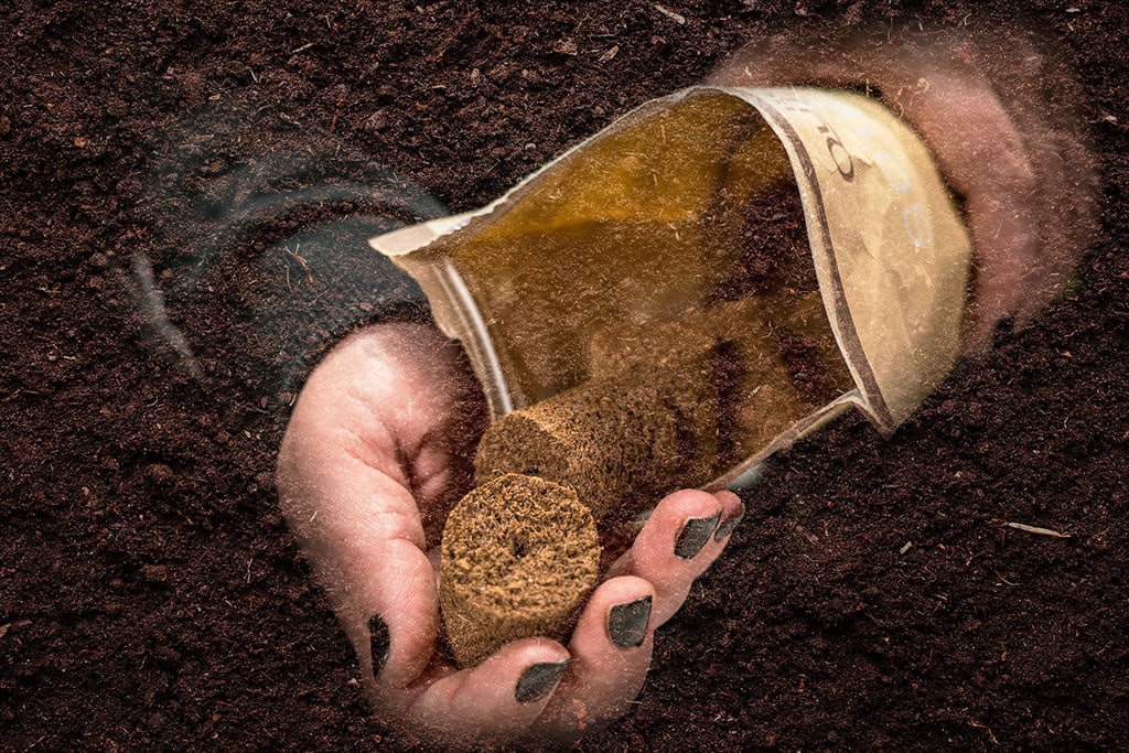 Cannabis Seed Soil Selection Tips for Optimal Growth